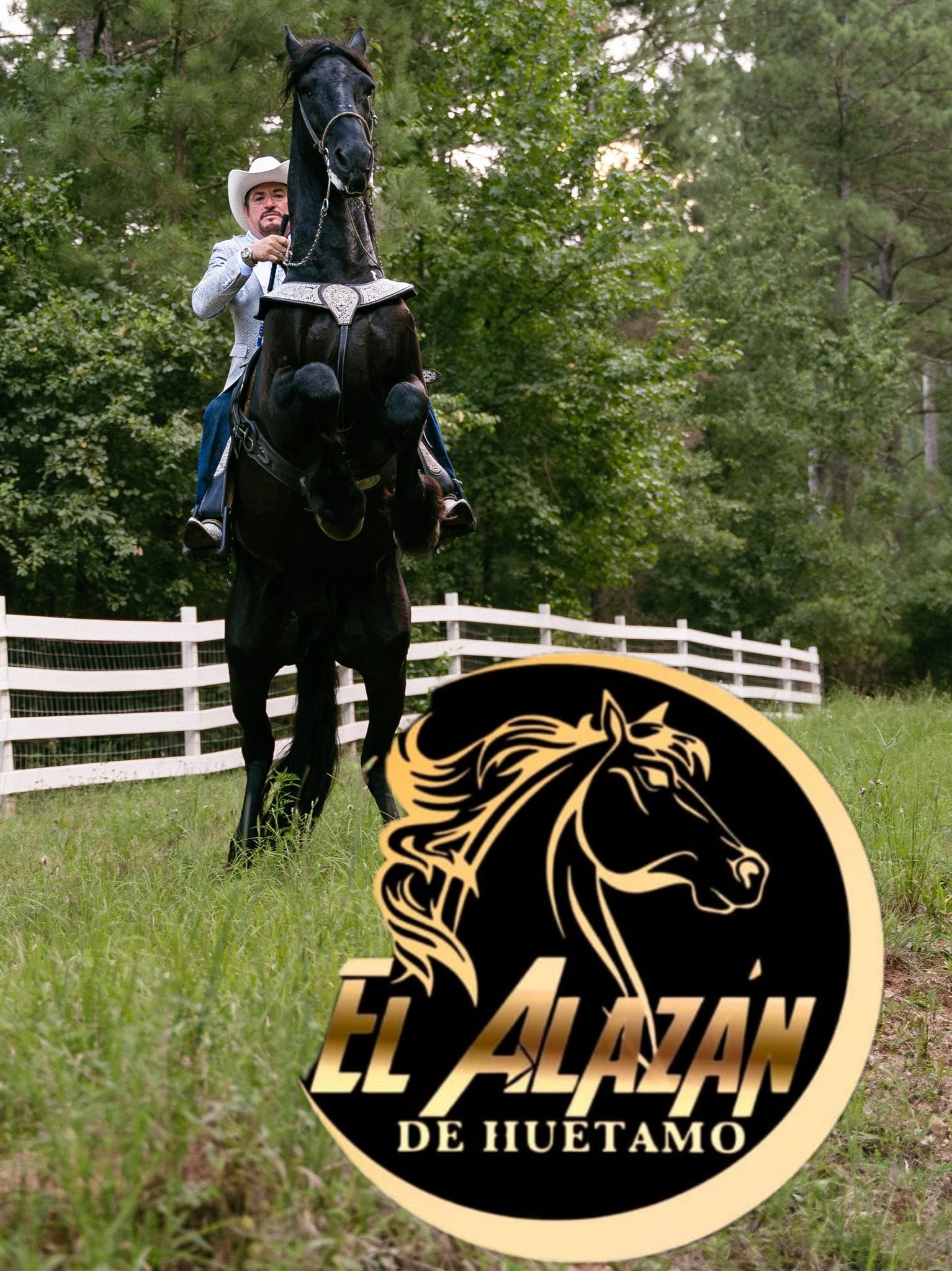 EL ALAZAN DE HUETAMO